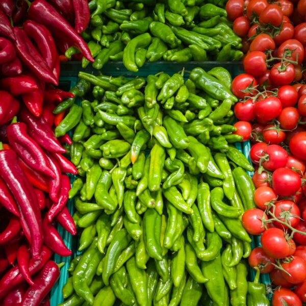 pile of green peppers